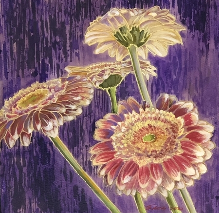 Gerberas